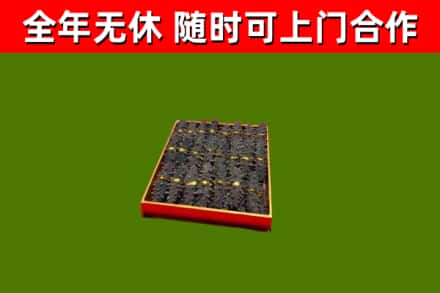 横沥镇回收海参